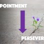 Persevering After Disappointments