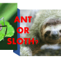 ANT OR SLOTH?