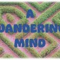 A WANDERING MIND